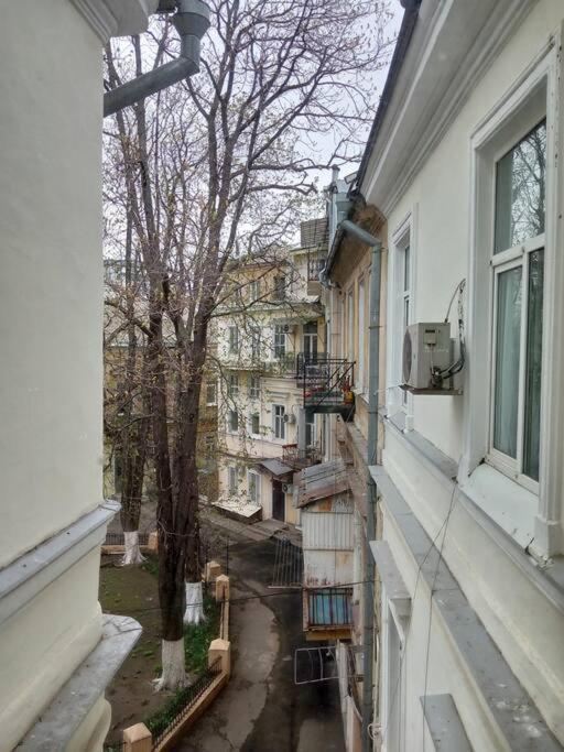White Door Apartments Heart Of Odessa 1 エクステリア 写真