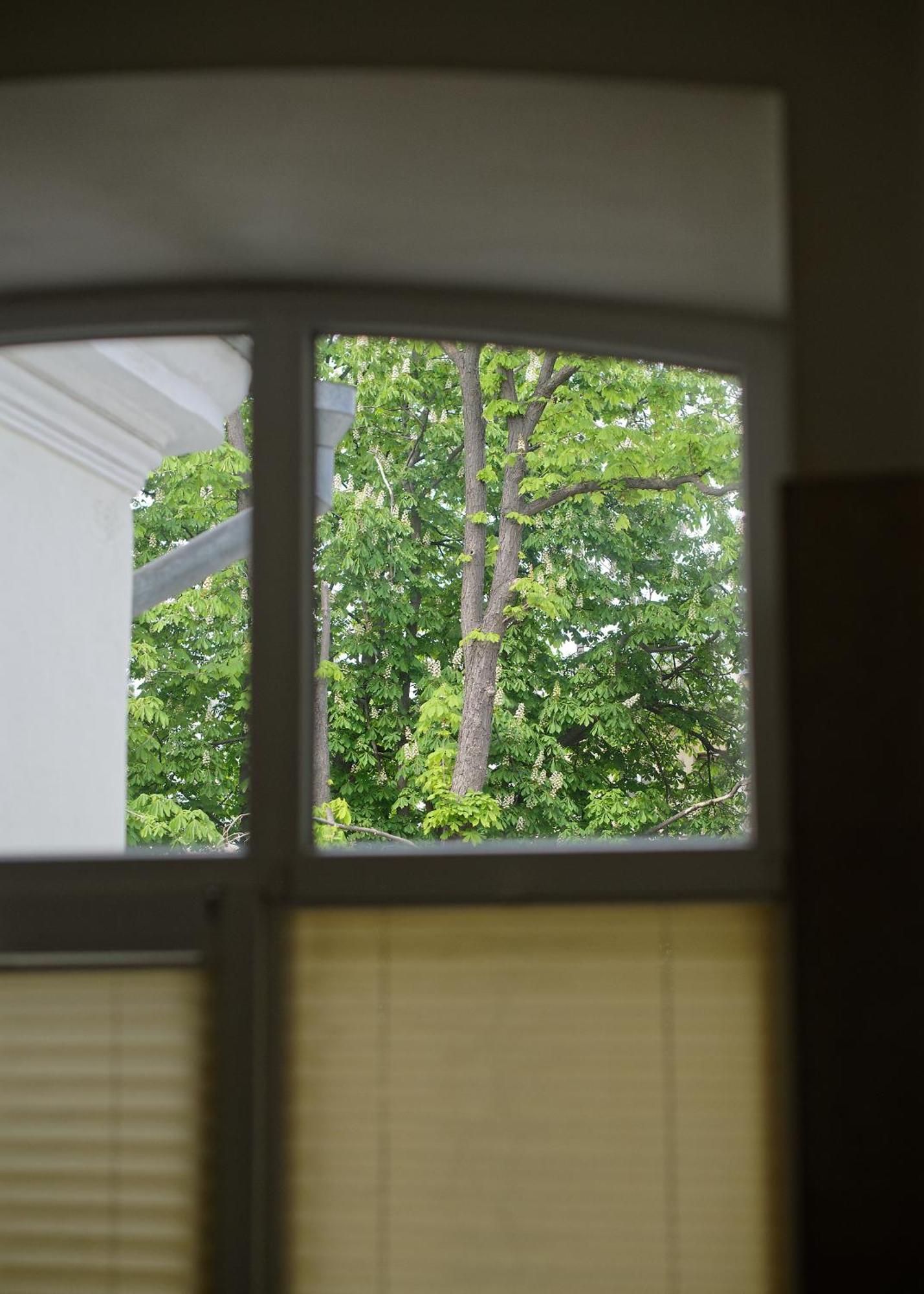 White Door Apartments Heart Of Odessa 1 エクステリア 写真